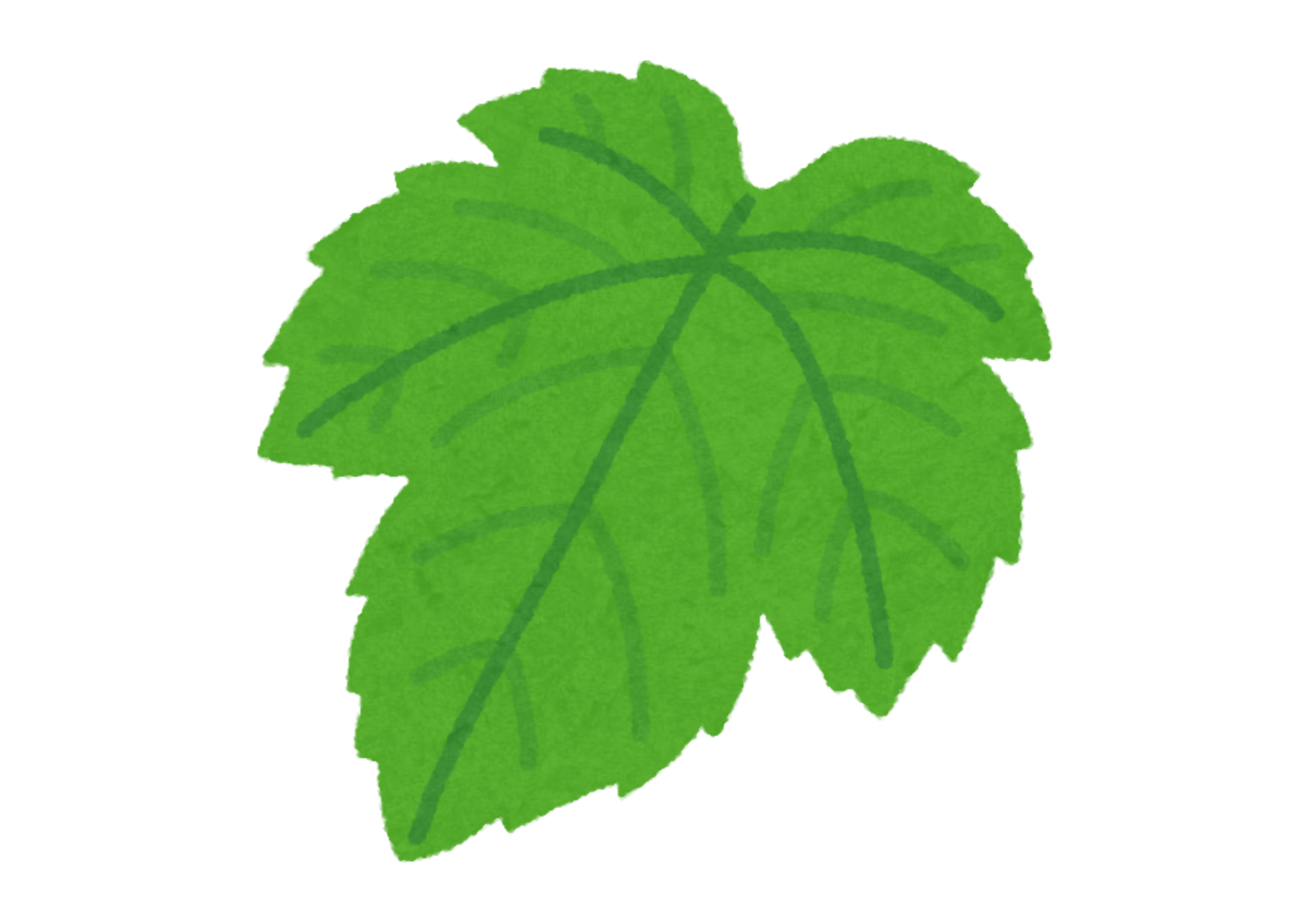 Alt Image