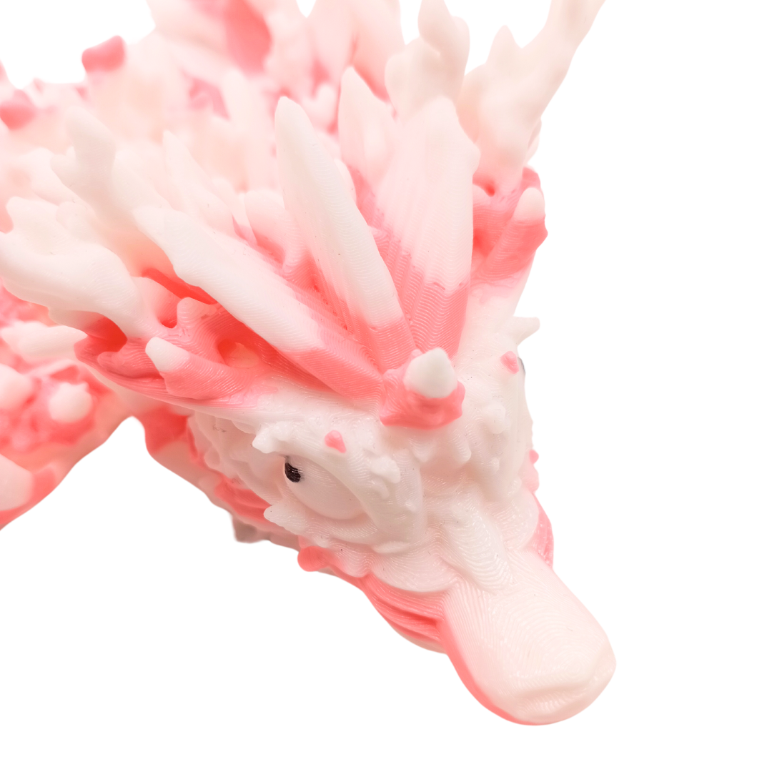 Korallendrache (zweifarbig)