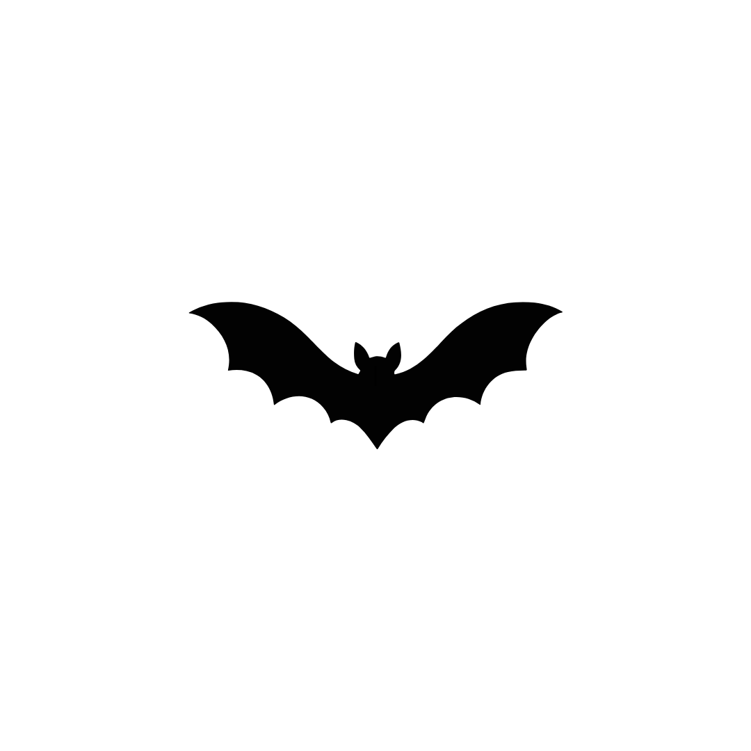 Alt Image