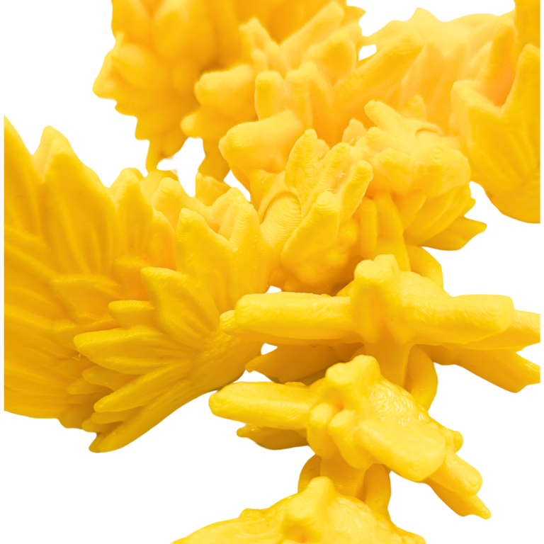 Sonnenblumendrachen Baby