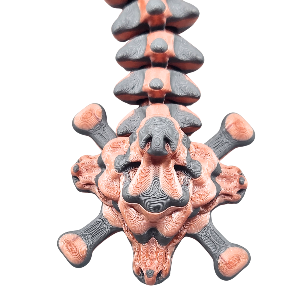 Schädel Drache (zweifarbig)