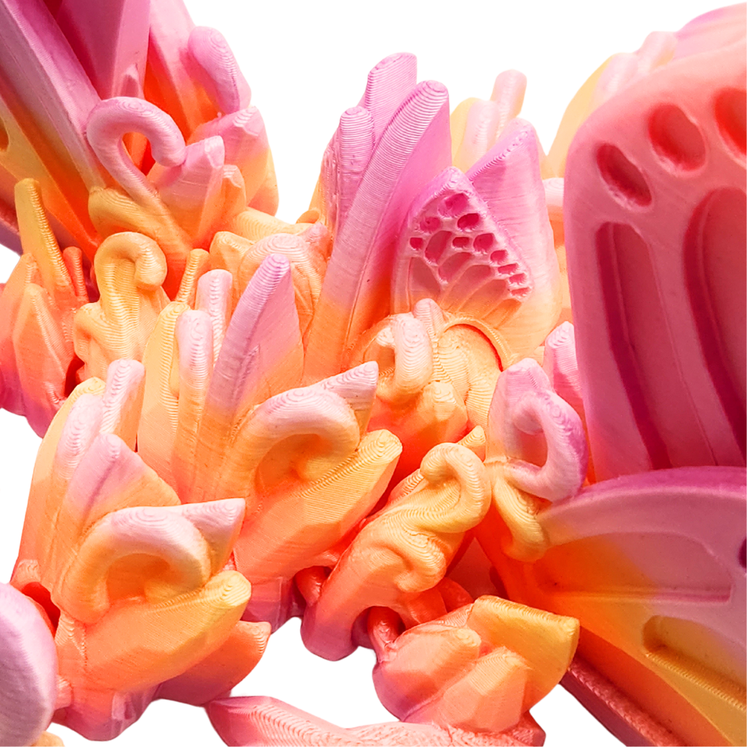 Schmetterlingsdrache Polygonia