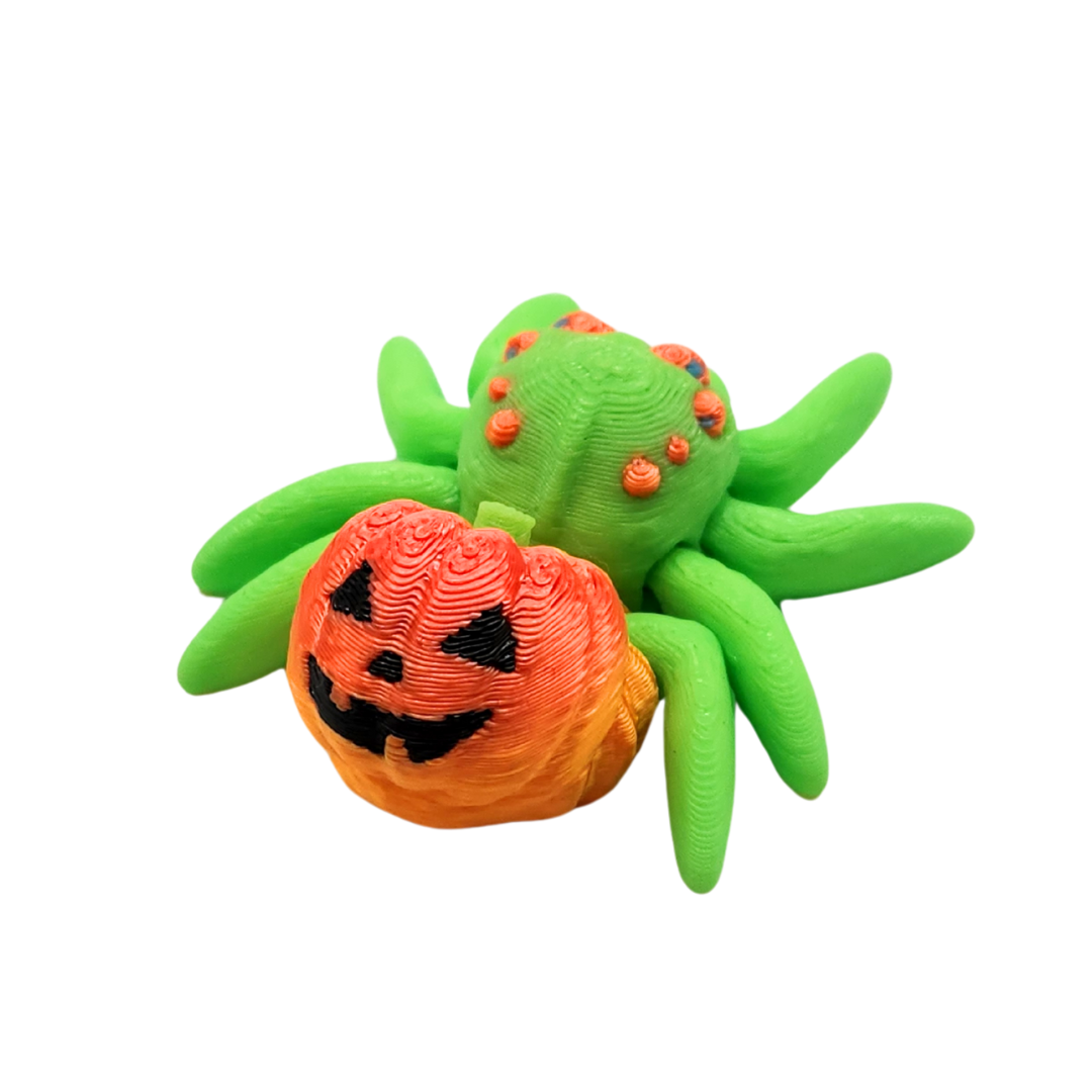 Eine Spinne mit einem Halloween Kürbis auf dem Rücken