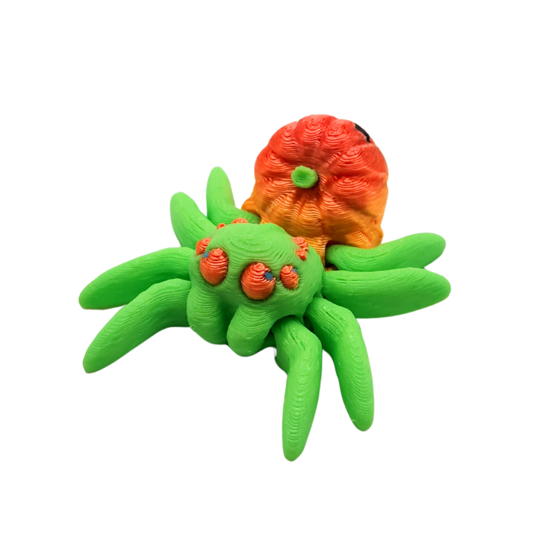 Kürbis Gesichts Spinne