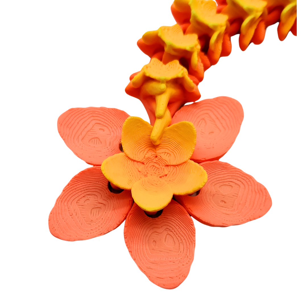 Kleiner Orchideen Drache