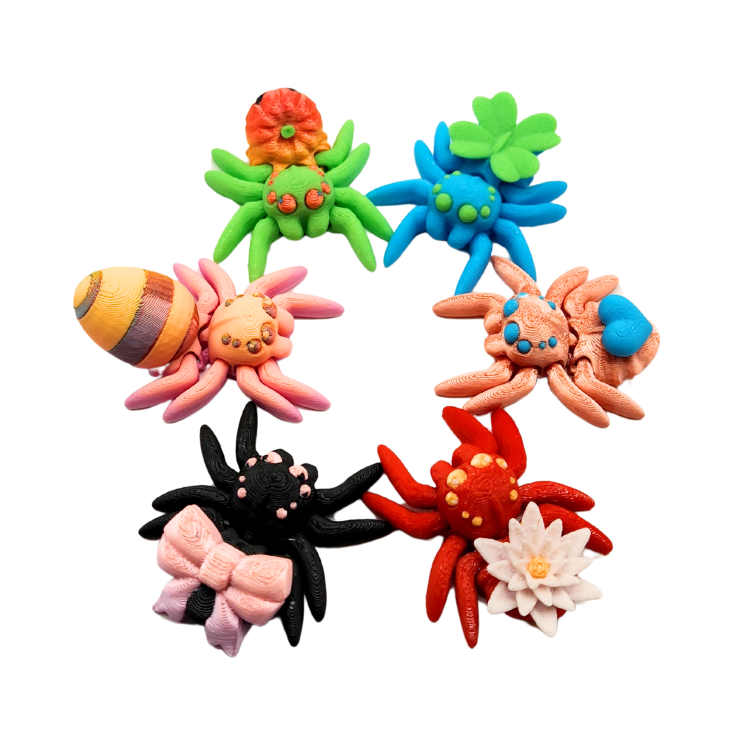 Sechs verschiedene Spinnen