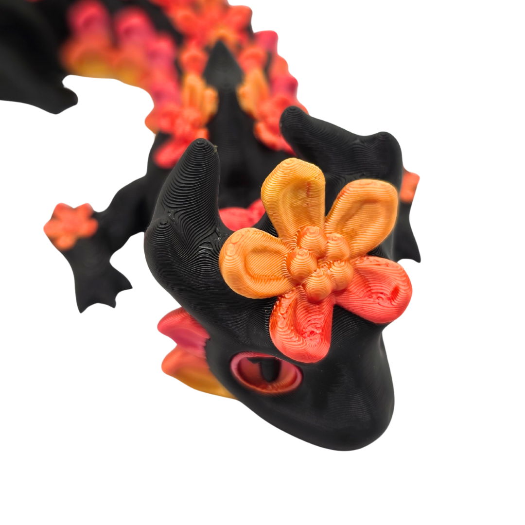 Vergissmeinnicht Drache