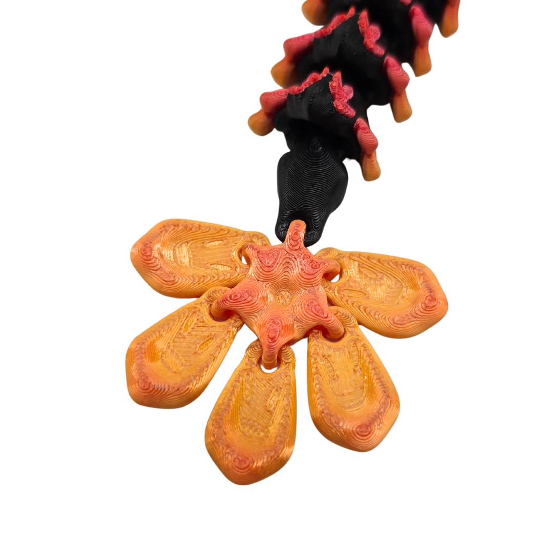 Vergissmeinnicht Drache